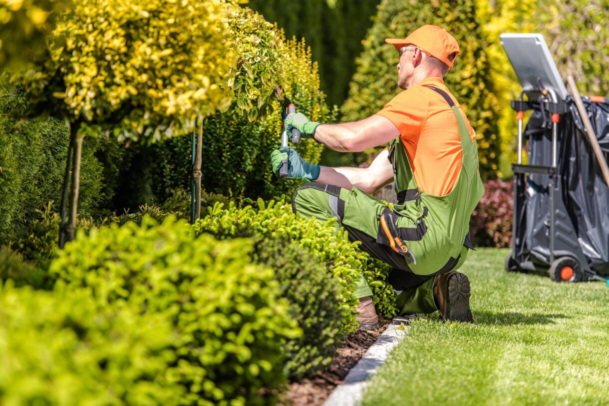 Serviço de jardinagem em empresas e condomínios: vale a pena terceirizar?