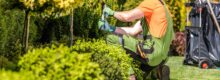 Serviço de jardinagem em empresas e condomínios: vale a pena terceirizar?
