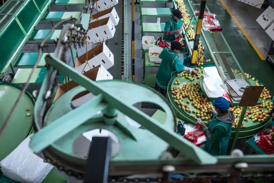 Legislação de alimentos: como a limpeza técnica assegura conformidade?